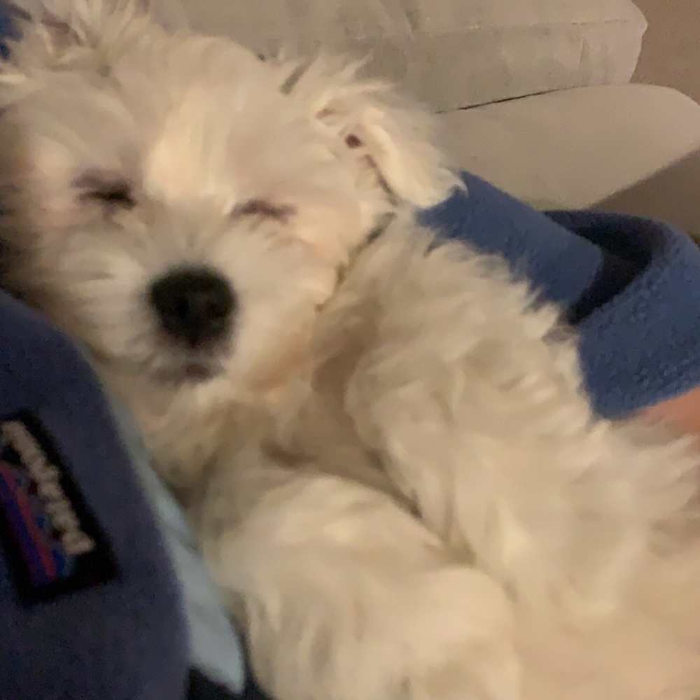 Meet your Posher, Amber